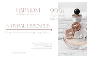 Wolmer - Modern And Elegant Serif, a Serif Font by Muflieart (Thumbnail 2 of 10)