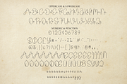Vintage Signature | Script Font, a Handwritten Font by Scratchones (Thumbnail 7 of 8)