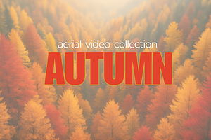 Autumn Aerial Video Collection, a Scene 3D Model by MarisoArt