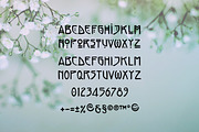 Elodie - Hand Made Art Nouveau Font, a Font by Franzi draws (Thumbnail 6 of 7)