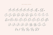 Bonita Melodia Script, a Script Font by Andrey Sharonov (Thumbnail 13 of 13)