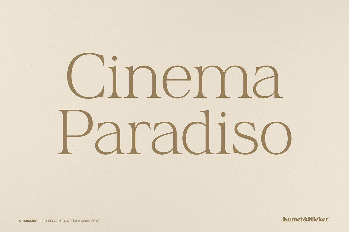 Charlene - An Elegant & Stylish Font, a Serif Font by Komet & Flicker (Photo 2 of 16)