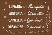 Crenville Fontage Vintage Font Duo, a Script Font by Tyasify (Thumbnail 4 of 9)