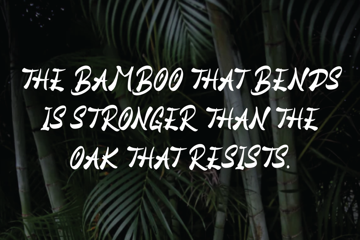 Hiany Lau - Chinese Display Font, a Script Font by Attype (Photo 7 of 8)