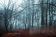 40 Cloud and Fog and Mist Brushes, a Brush Add-On by dyrkwyst textures (Thumbnail 3 of 6)