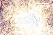 20 marble textures. Beige collection, a Texture Graphic by tkdesign (Thumbnail 11 of 21)