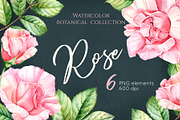 Watercolor Botanical Rose Flowers, an Illustration by Akvarelldesign (Thumbnail 1 of 3)
