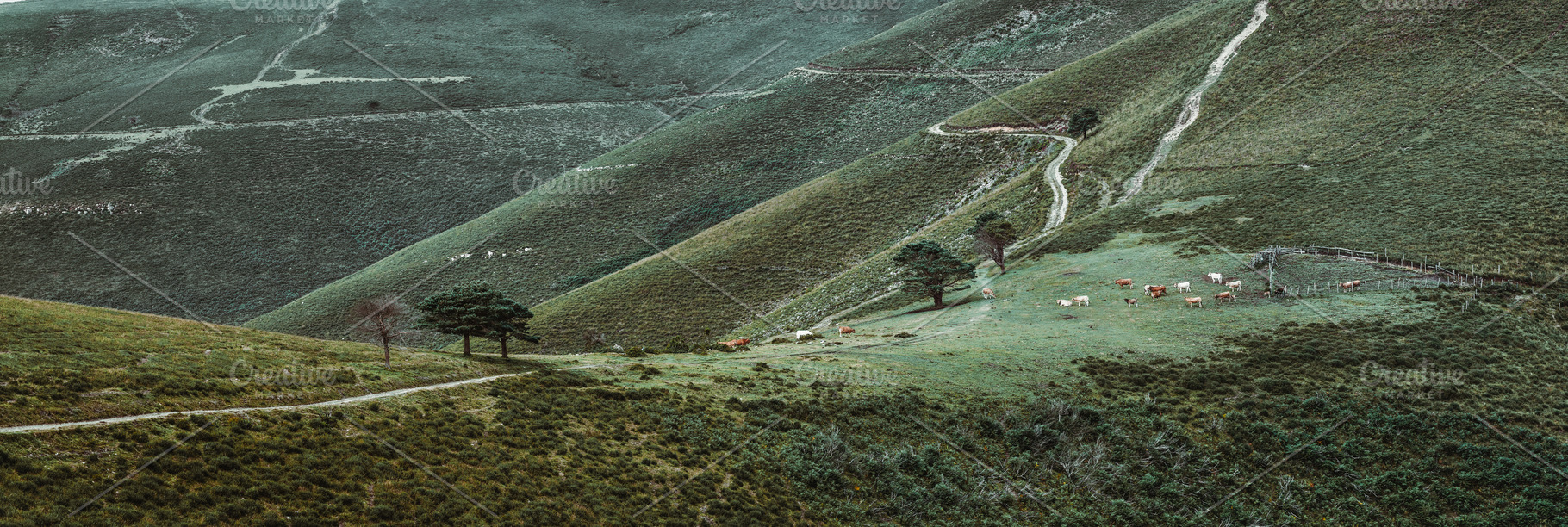 Camino de Santiago, Asturias, a Nature Photo by SkyNext