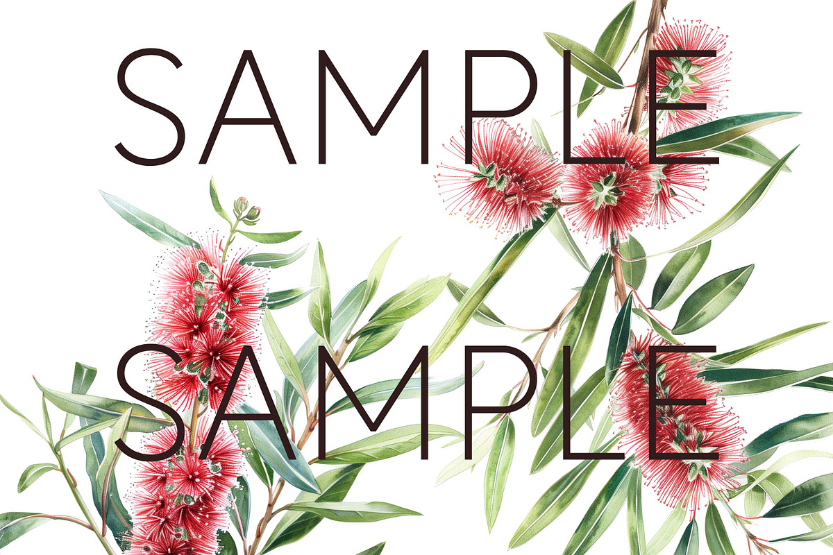 Bottle Brush Floral Clipart PNG, a Decorative Illustration by Pawcasso's Portraits (Photo 4 of 6)