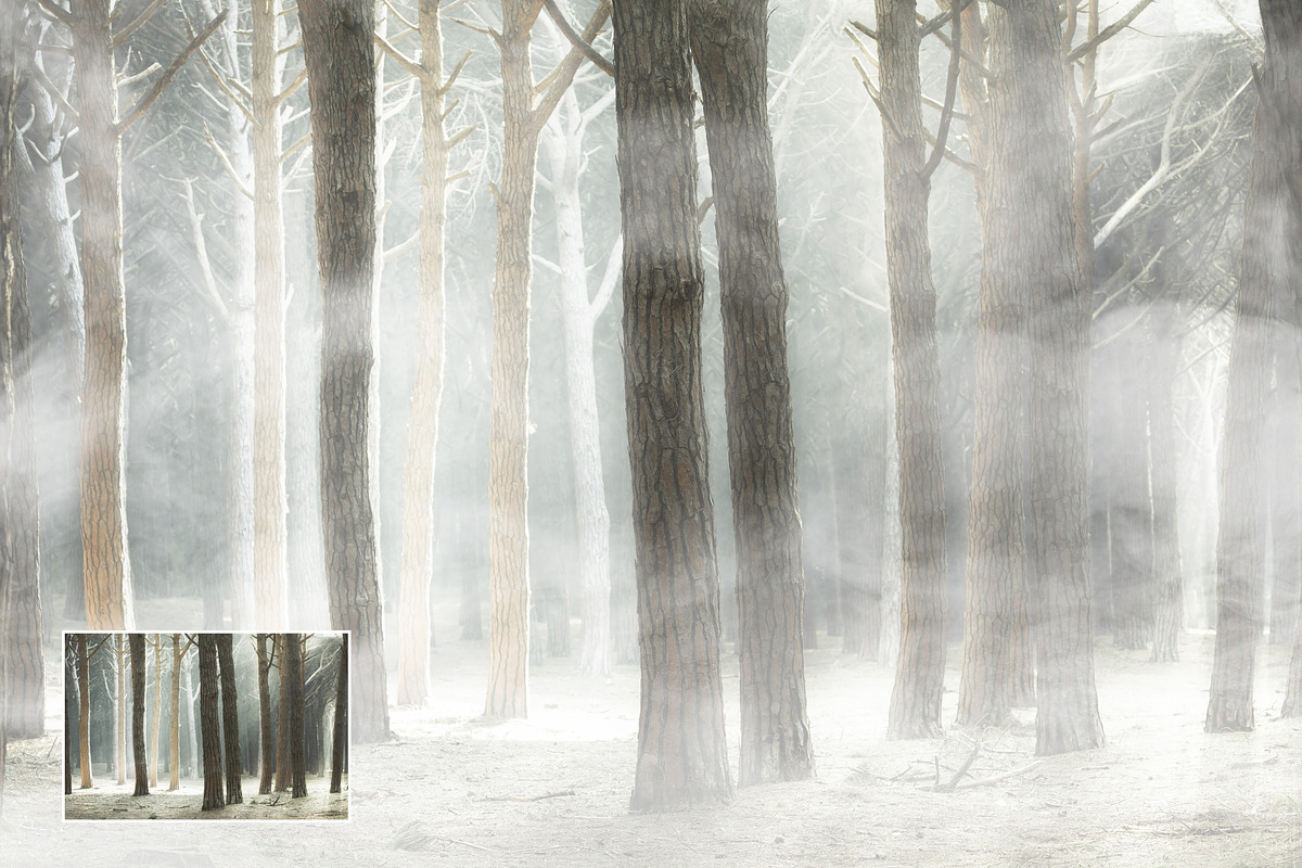 Smoke & Fog Brushes for Photoshop, a Brush Add-On by Uplift Actions (Photo 7 of 8)