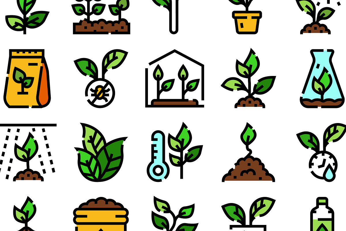 Plant growth seedling agriculture, an Object Graphic by pikepicture (Photo 3 of 3)