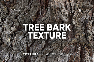 20 Tree Bark Textures