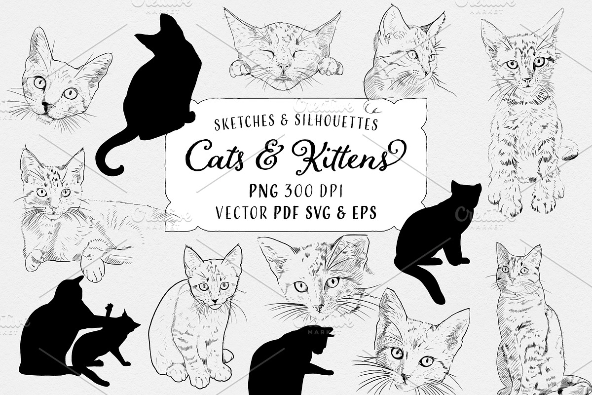 Cats & Kittens Sketches & Silhouette, an Animal Illustration by becky nimoy (Photo 1 of 4)