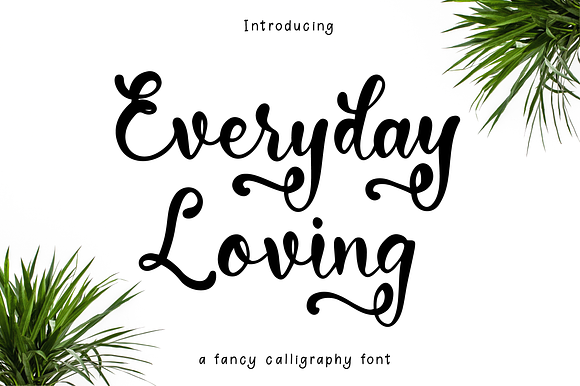 Everyday Loving Font preview 8