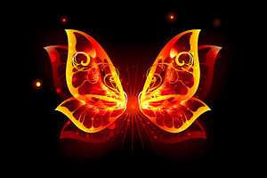 Fire Wings Of Butterfly