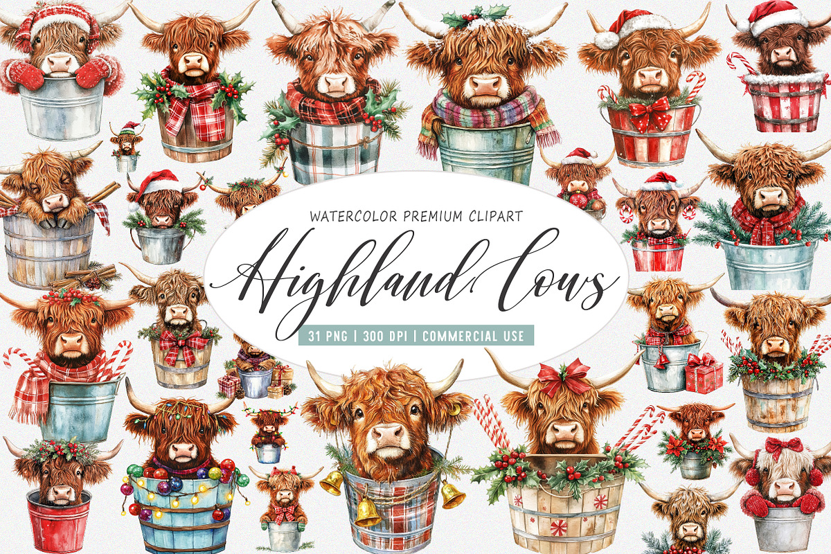 Christmas Highland Cows in Bucket, an Illustration by SinaCreation
