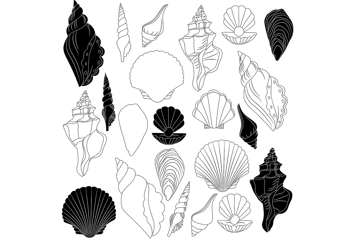 Seashells svg bundles vector 21, a Graphic by Fresh art by Larysa (Photo 2 of 5)