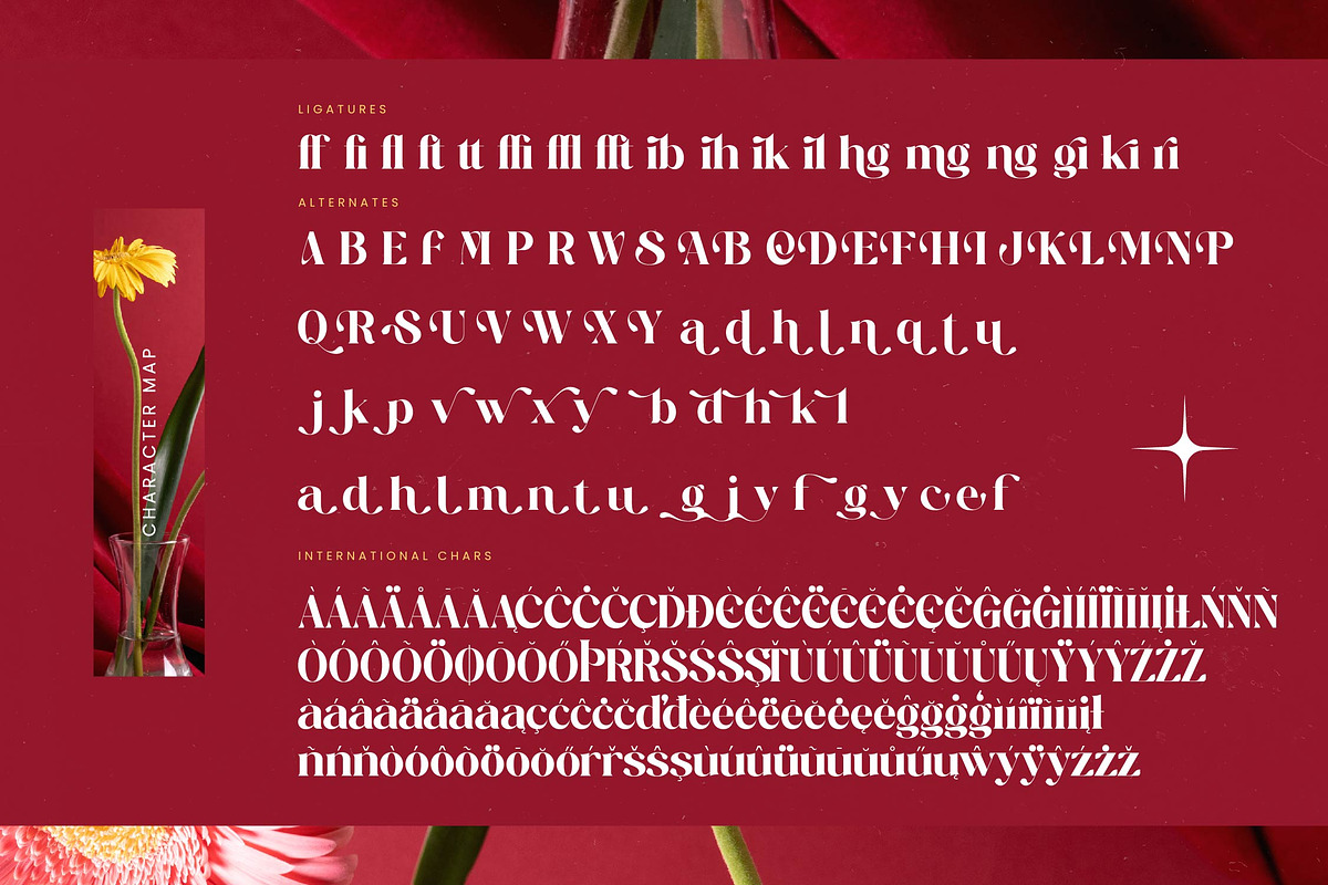 Regita Glamor Luxury Serif Font, a Serif Font by timelesstype.co (Photo 18 of 20)