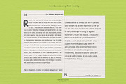 Kiwi Gooseberry Font Family, a Font by LTNG STUDIO (Thumbnail 7 of 9)