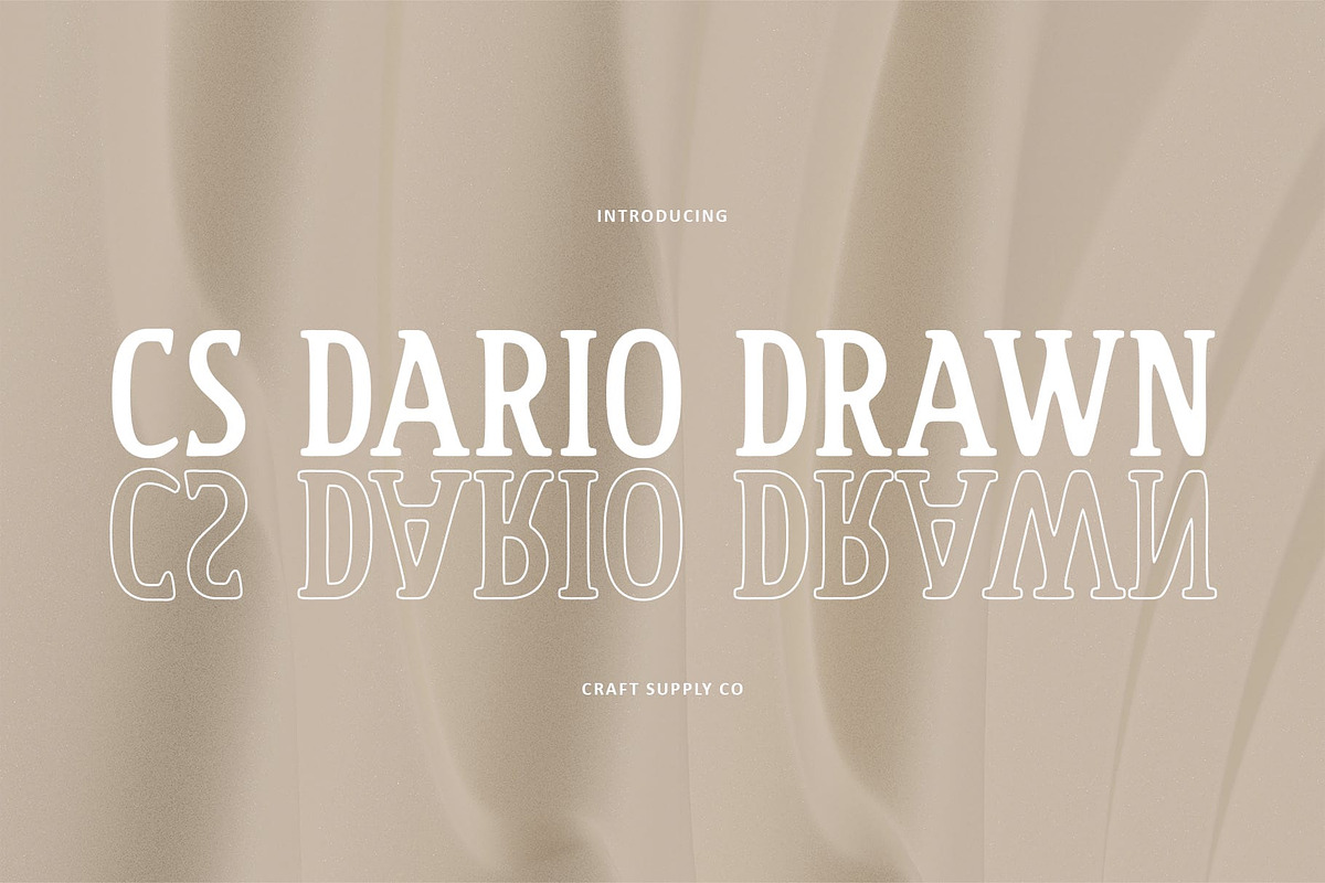 CS Dario Drawn, a Serif Font by Craft Supply Co. (Photo 1 of 8)