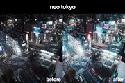 11 Japanese Lightroom Presets, a Preset Add-On by Gridfiti (Thumbnail 7 of 12)