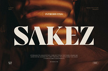 Sakez Elegant Serif Font Typeface
