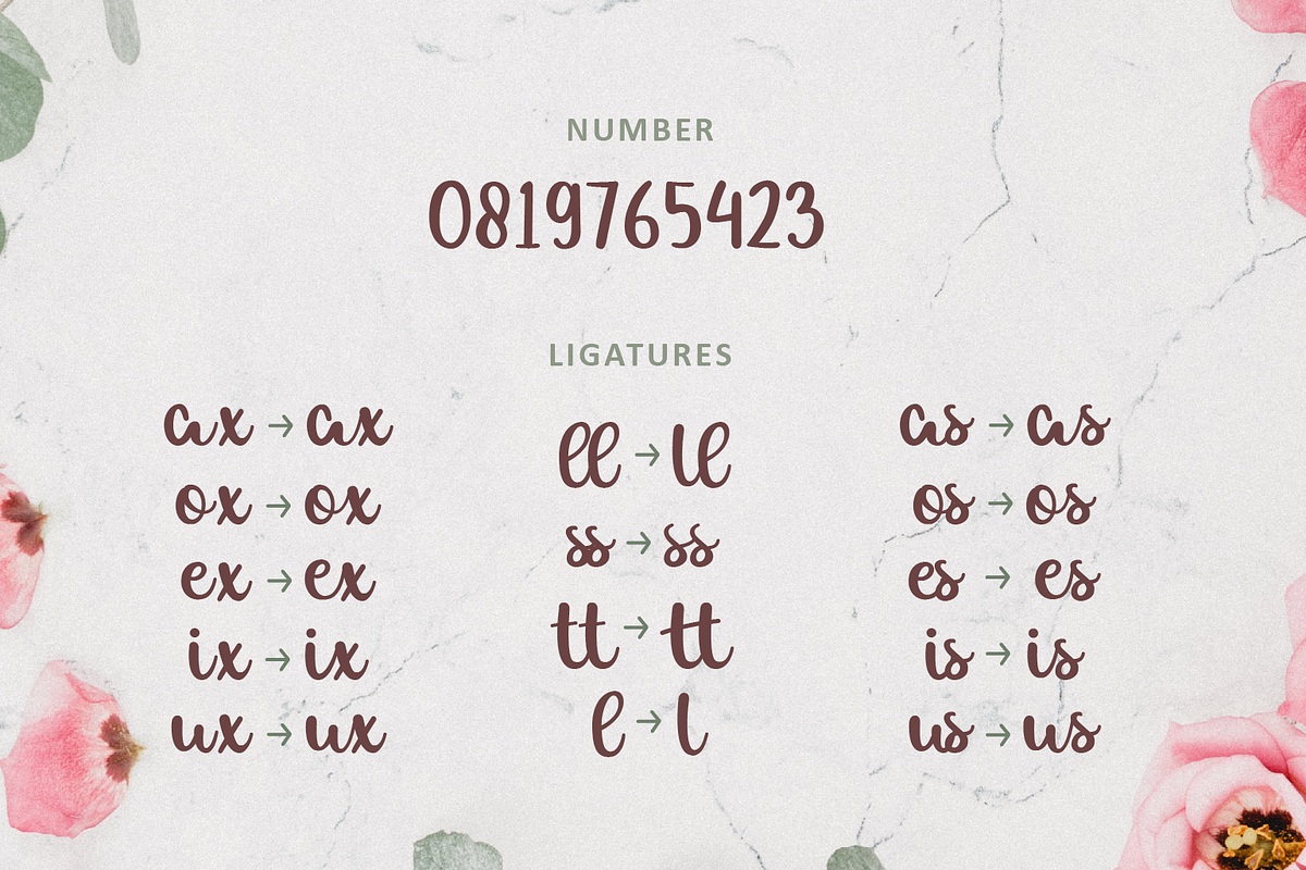 Allexa | Script Font, a Script Font by Suntype | Sunshine Std (Photo 8 of 10)