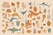 Sea Life Collection, an Animal Illustration by Nadezhda Mikhailova (Thumbnail 12 of 18)