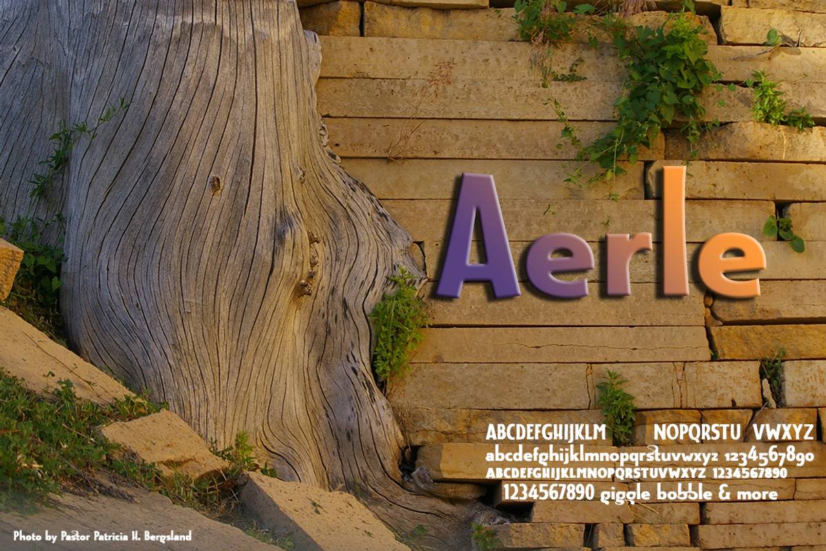 Aerle: foundation of companion sans
