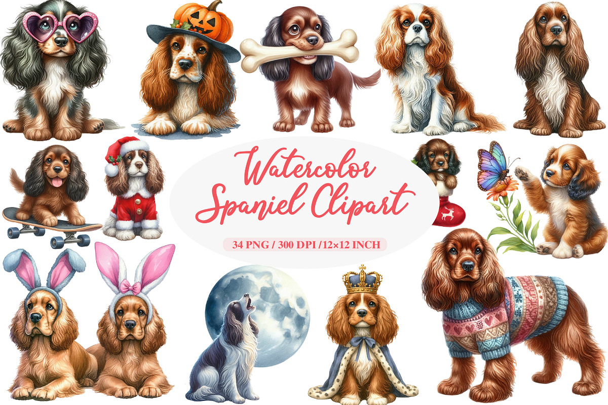 Watercolor Spaniel Clipart Bundle, an Illustration by Daily.Designs (Photo 1 of 5)