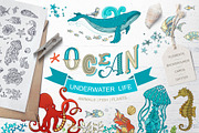 Ocean Underwater Life, an Animal Illustration by MaljukArt (Thumbnail 1 of 13)