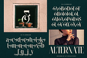 Wiraile Typeface, a Serif Font by alit design (Thumbnail 3 of 15)
