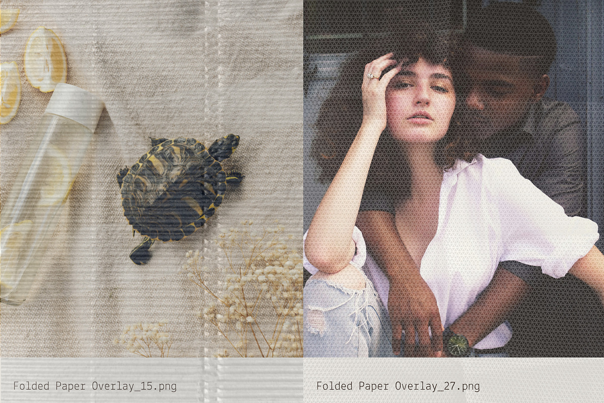 Folded: Paper Crease Overlays, a Texture Graphic by Anastasiia VNSK (Photo 9 of 19)