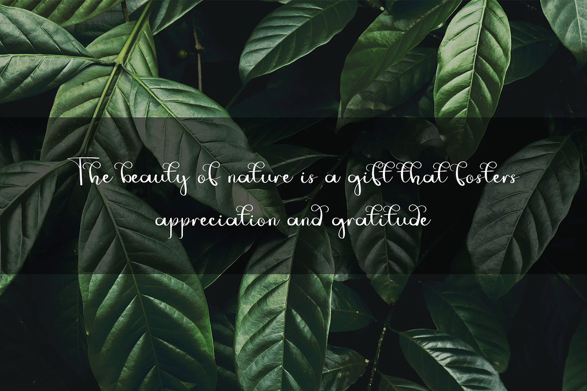 Jungle, a Handwritten Font by Majelis Font (Photo 3 of 5)