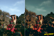 Warm Light Presets for Lightroom, a Preset Add-On by Hubzway (Thumbnail 2 of 5)