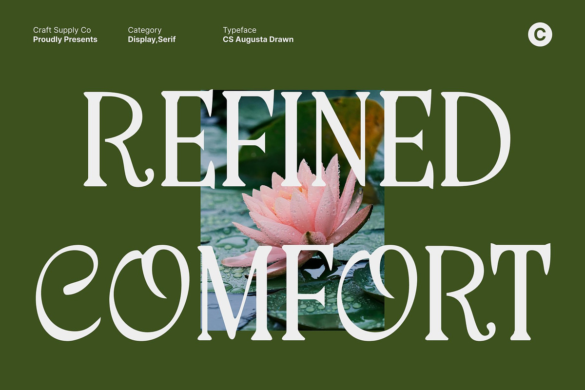 CS Augusta Drawn, a Serif Font by Craft Supply Co. (Photo 7 of 8)