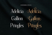 Sikandinarie, a Serif Font by Attract Studio (Thumbnail 10 of 18)