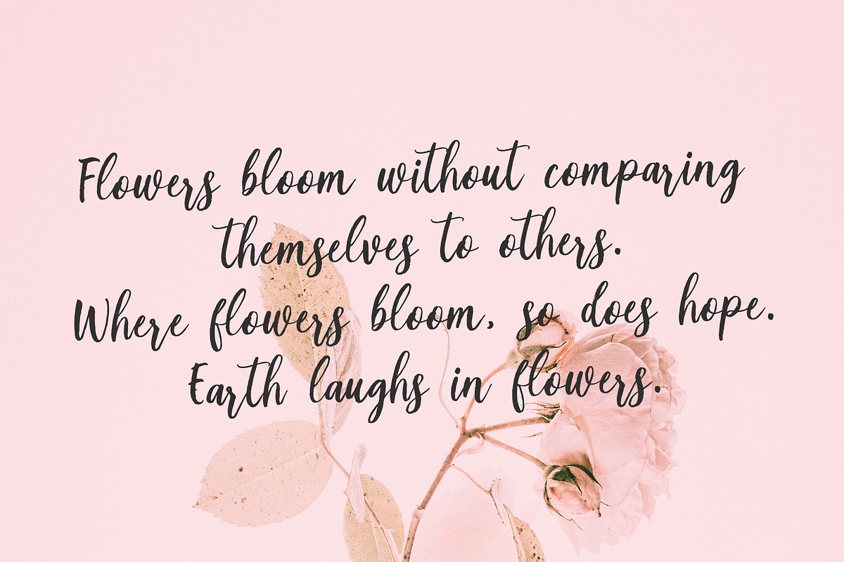 nestafin, a Script Font by Realtype (Photo 3 of 8)