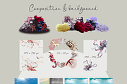 Watercolour Nautical Set, an Animal Illustration by NNclipart (Thumbnail 13 of 13)
