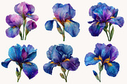Wild Iris Clipart, an Illustration by Designworld (Thumbnail 3 of 10)