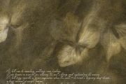 Lull · Brown Botanical Autumn Series, a Background Graphic by alonahaidash (Thumbnail 10 of 16)
