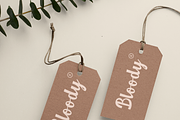 Delino - Retro Script, a Script Font by Hanstype.com (Thumbnail 8 of 10)