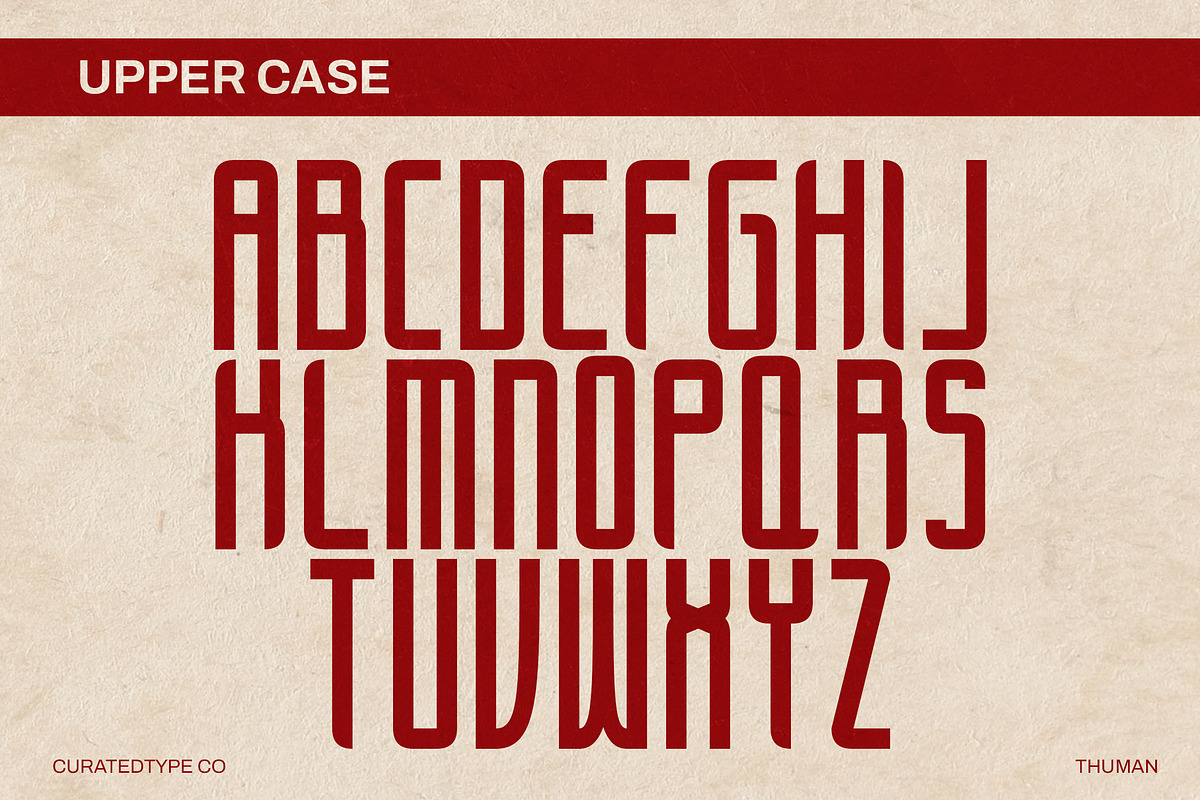 Thuman - Tall Display Font, a Sans Serif Font by CuratedType Studio (Photo 5 of 13)