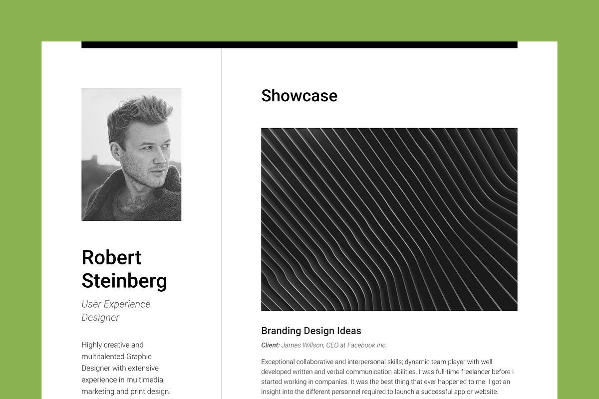 Big Set of Professional Resumes 1, a Resume Template by DEFNST (Photo 3 of 14)