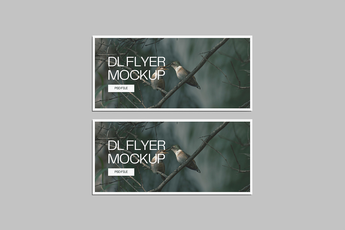 Landscape DL Flyer Mockup, a Print Template by Graphiculon (Photo 10 of 13)