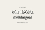 Shenton Rubadue, a Serif Font by Cruzine (Thumbnail 8 of 8)