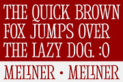 Meliner, a Serif Font by Dora Typefoundry (Thumbnail 6 of 12)