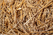 The straw lies on the ground, an Abstract Photo by Schreibikus (Thumbnail 4 of 7)
