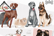 Pet Illustrations Patterns & Borders, a Graphic by Pretty Little Lines (Thumbnail 8 of 29)