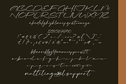 Platinum Hours, a Script Font by operatype.co (Thumbnail 8 of 8)